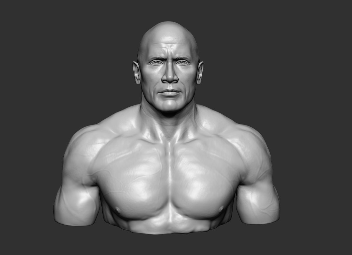 The Rock Portrait Sculpture 3D print model_8