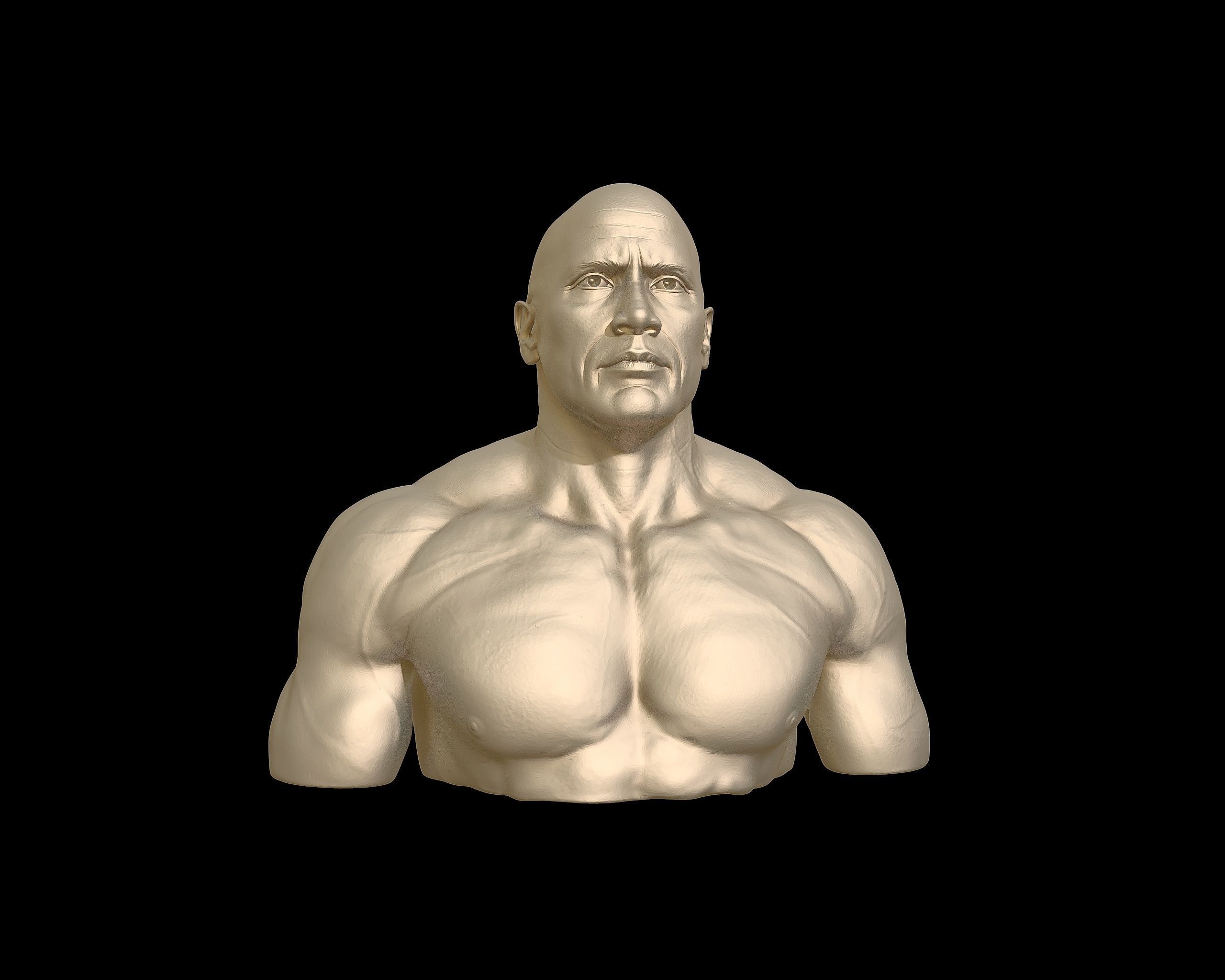 The Rock Portrait Sculpture 3D print model_29