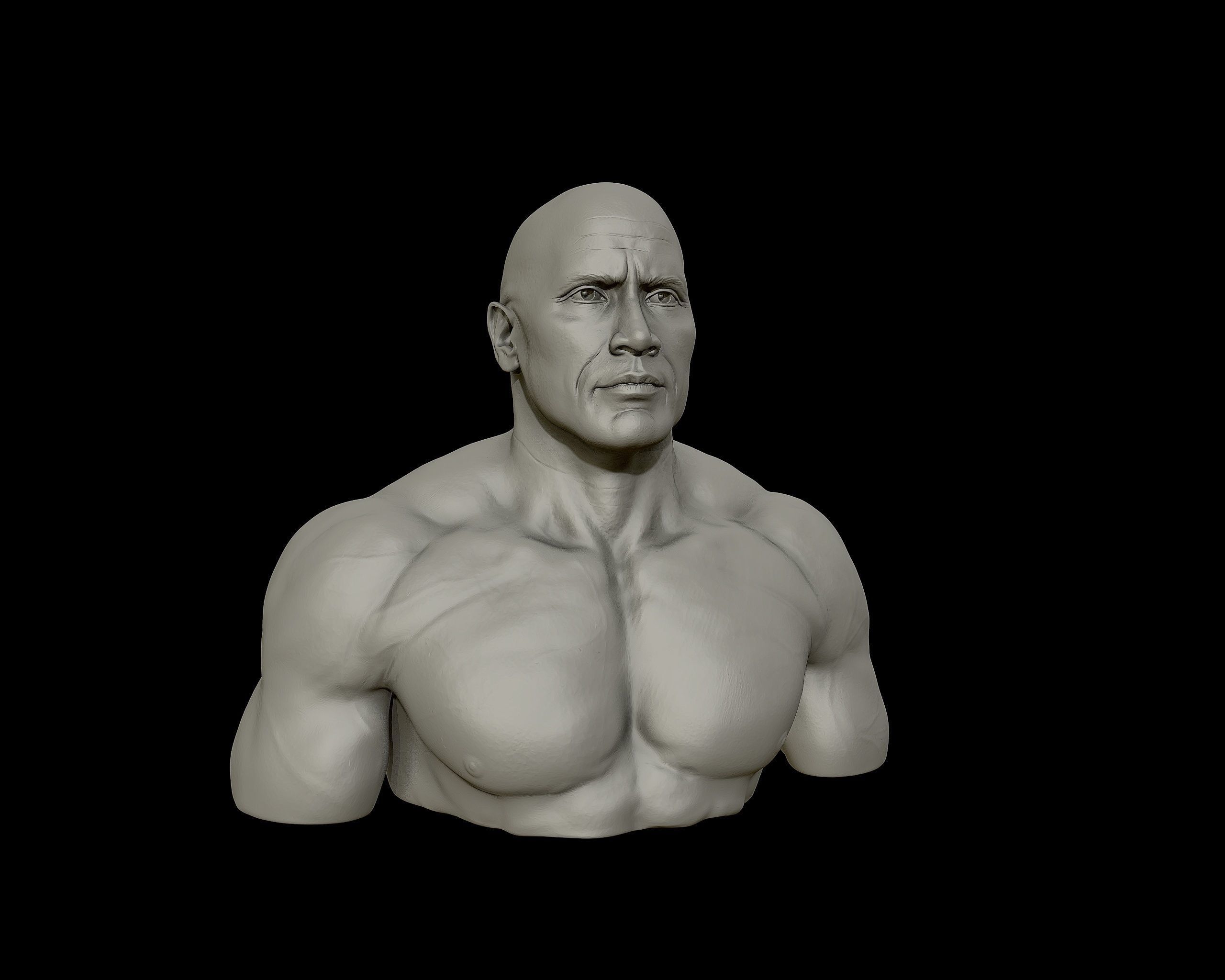 The Rock Portrait Sculpture 3D print model_16