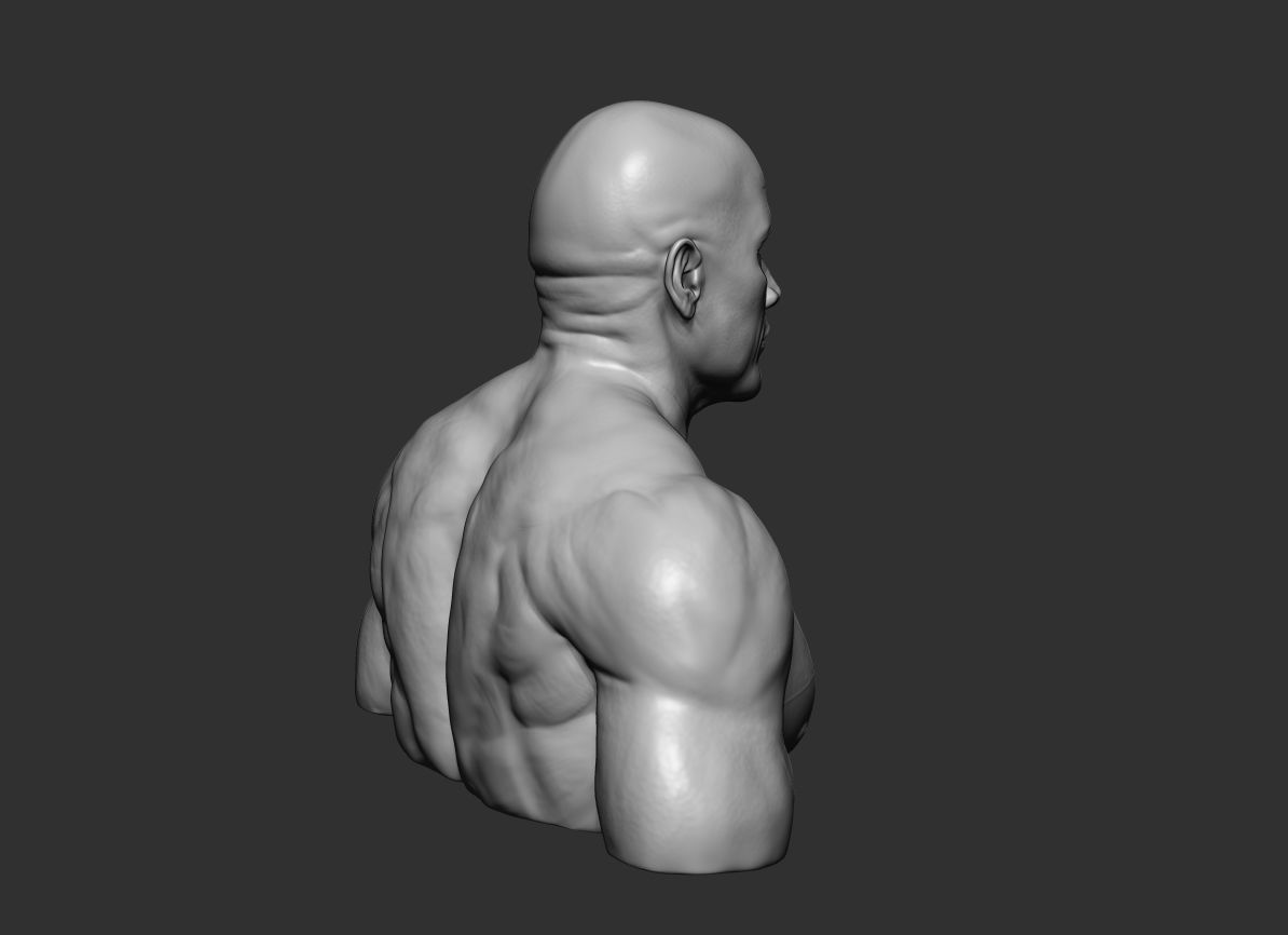 The Rock Portrait Sculpture 3D print model_13