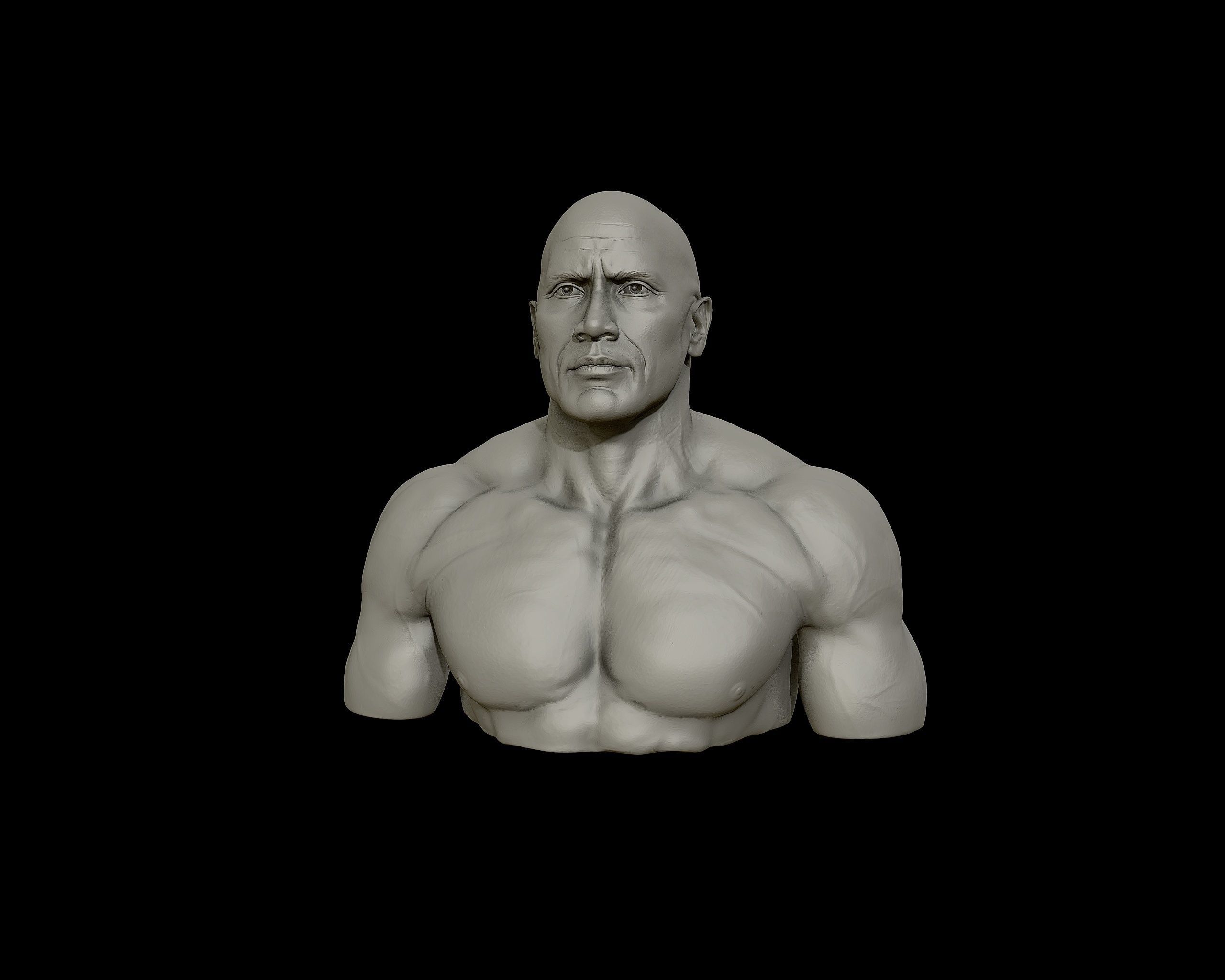 The Rock Portrait Sculpture 3D print model_27