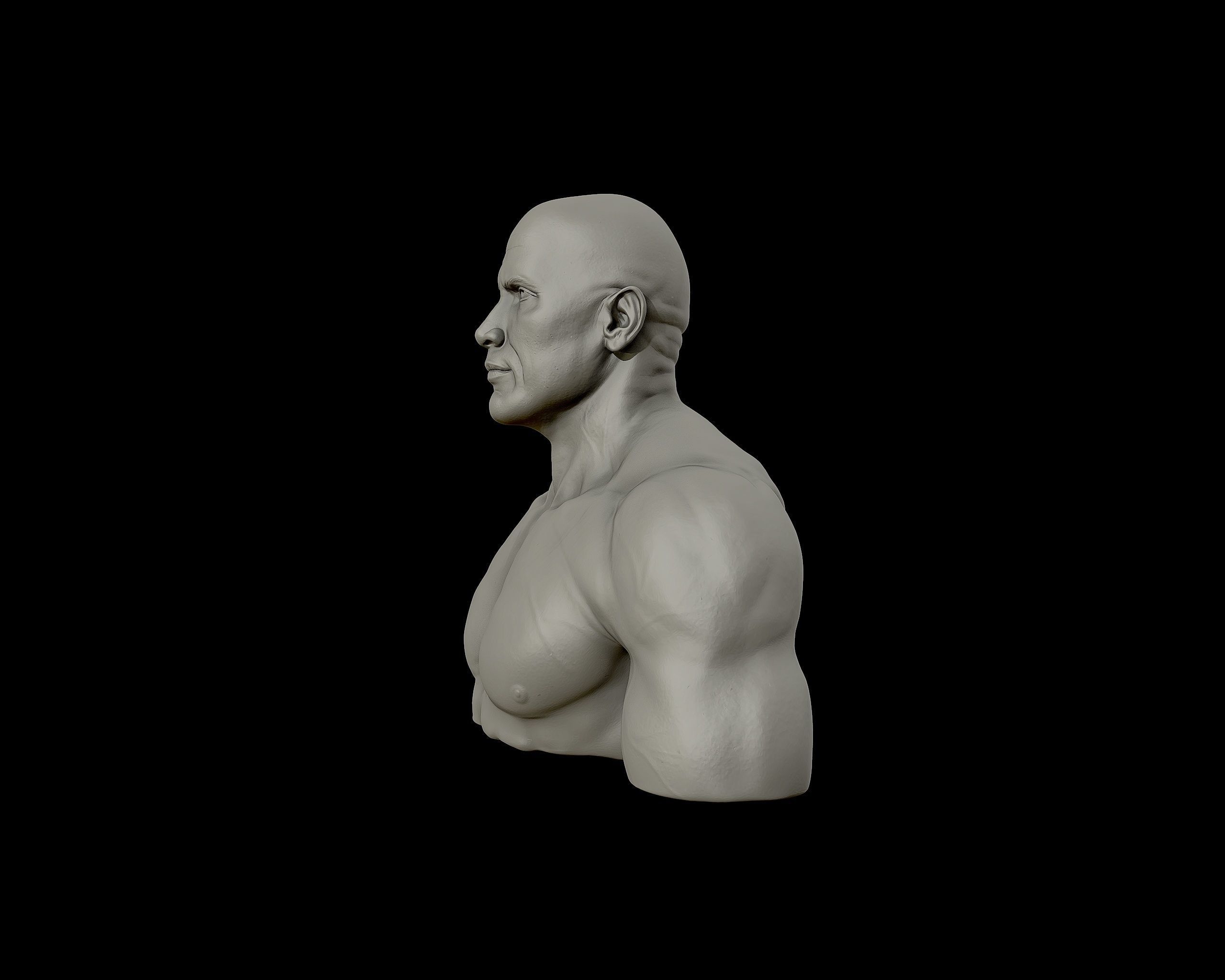 The Rock Portrait Sculpture 3D print model_23
