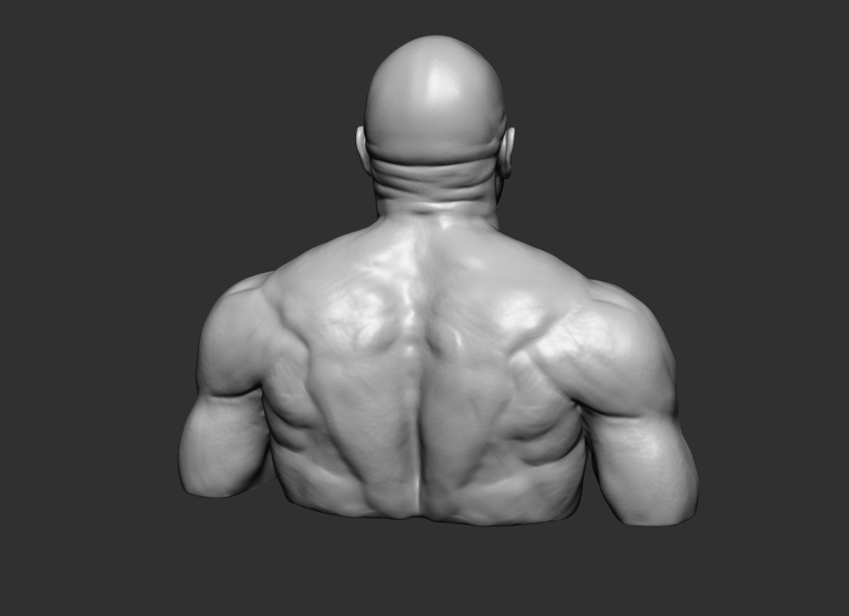 The Rock Portrait Sculpture 3D print model_14