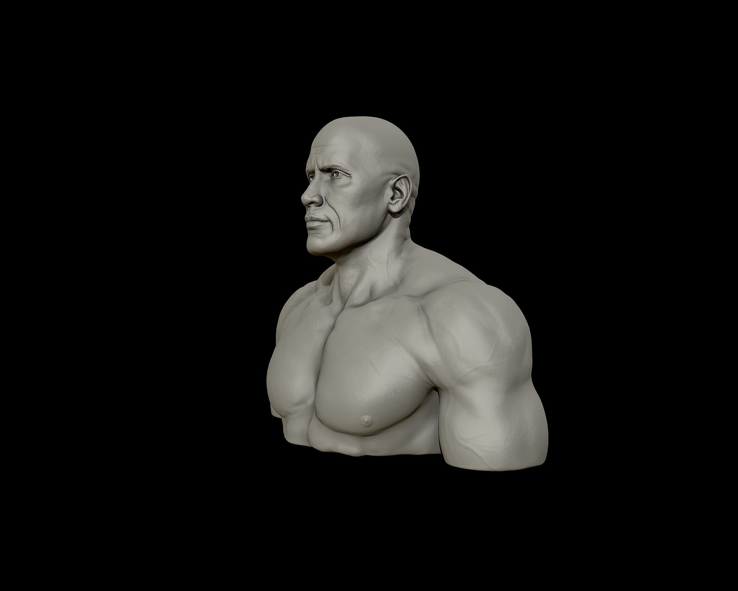 The Rock Portrait Sculpture 3D print model_24