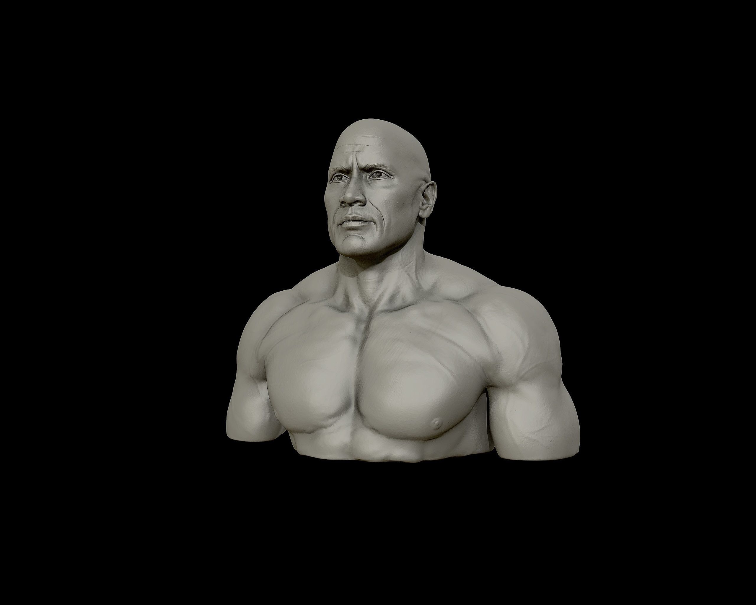 The Rock Portrait Sculpture 3D print model_26