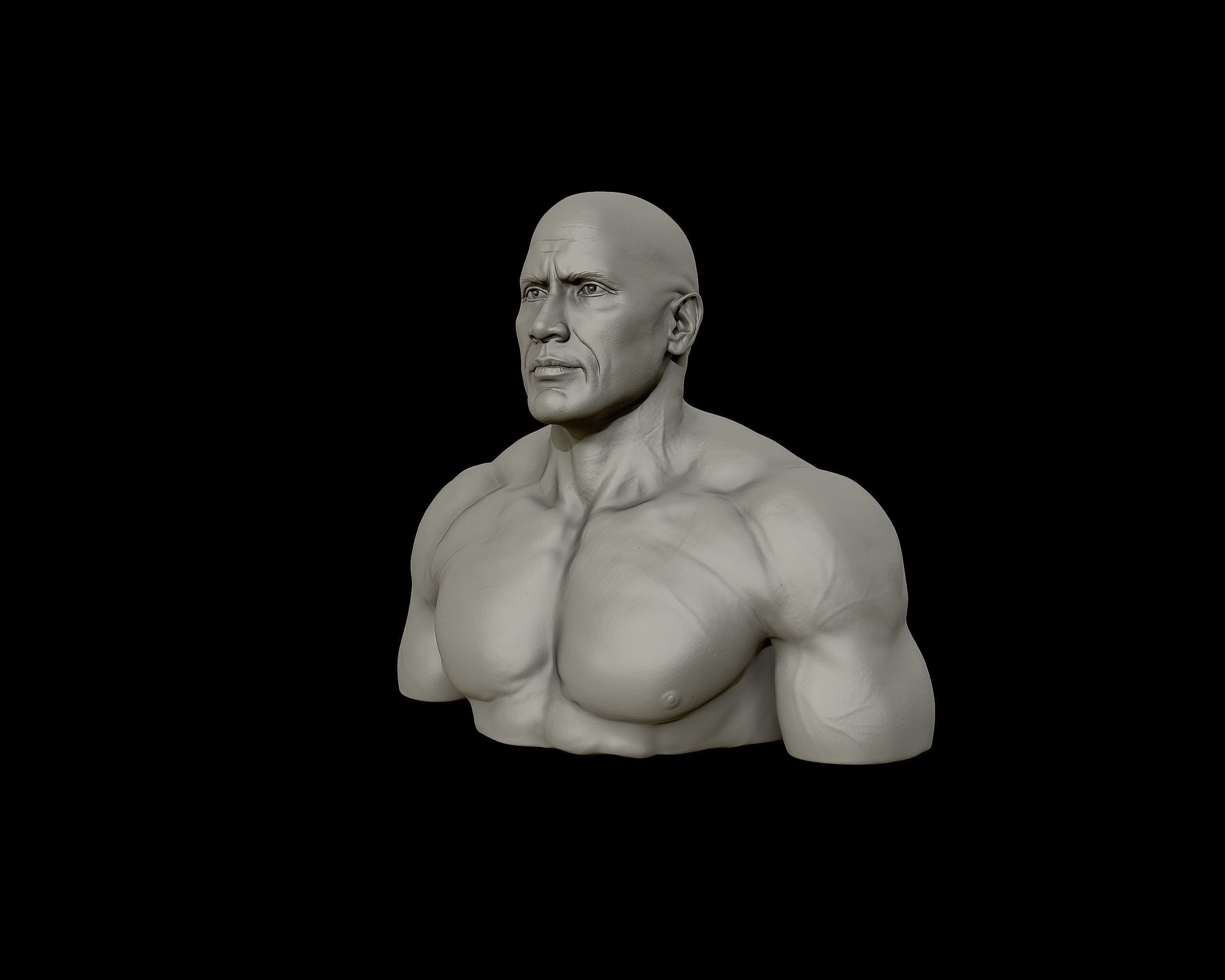 The Rock Portrait Sculpture 3D print model_25