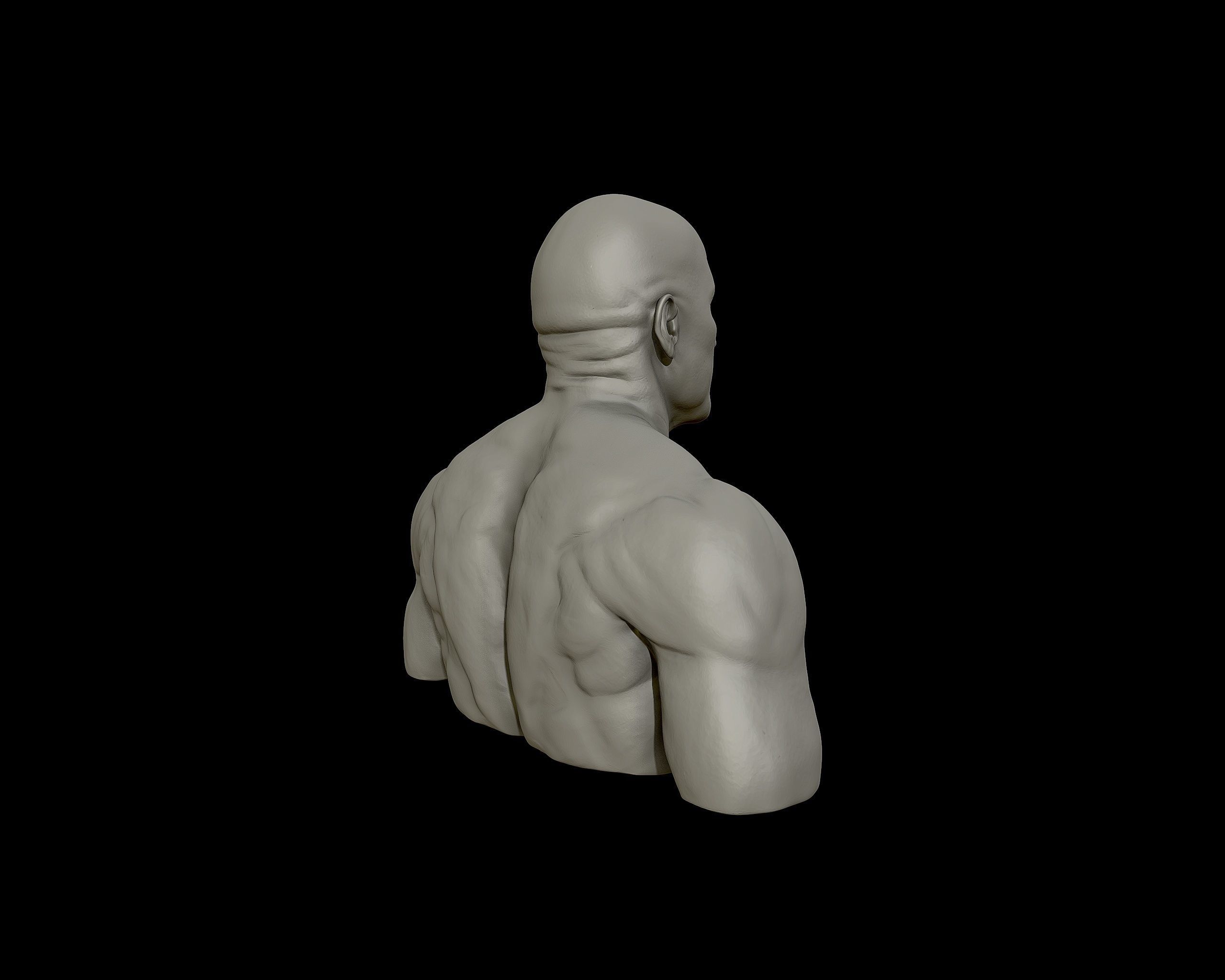 The Rock Portrait Sculpture 3D print model_20