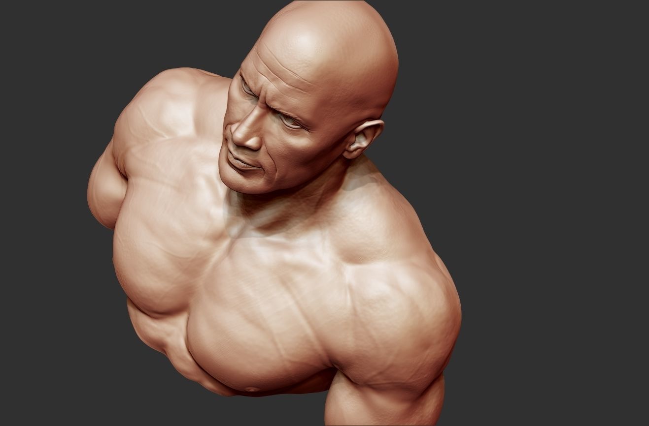 The Rock Portrait Sculpture 3D print model_7