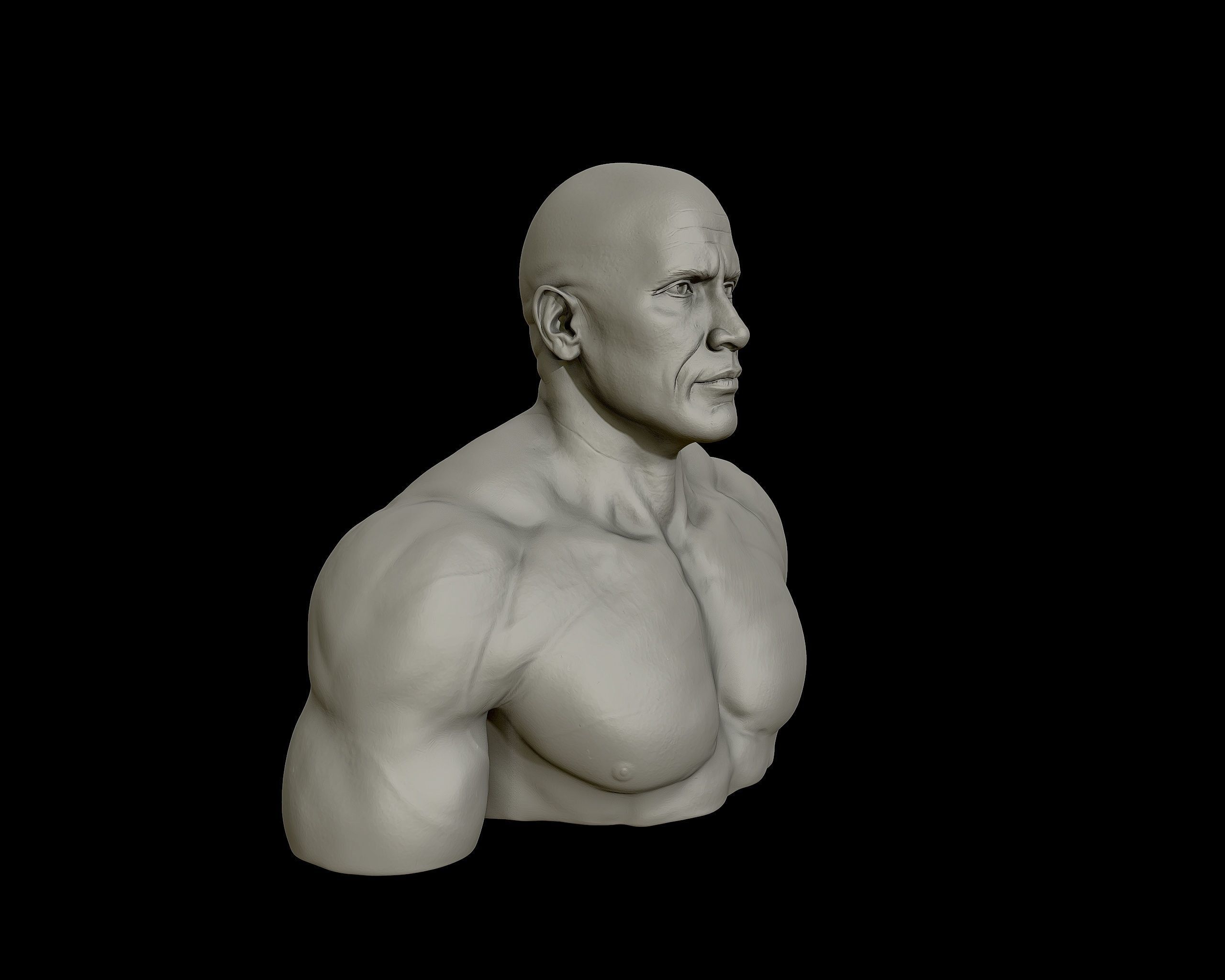 The Rock Portrait Sculpture 3D print model_19