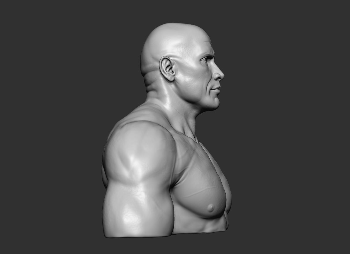 The Rock Portrait Sculpture 3D print model_11