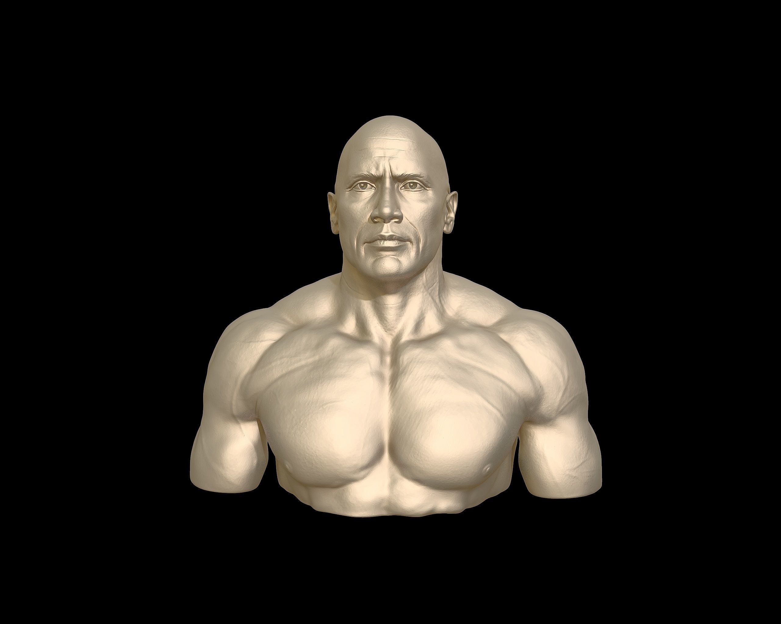 The Rock Portrait Sculpture 3D print model_30