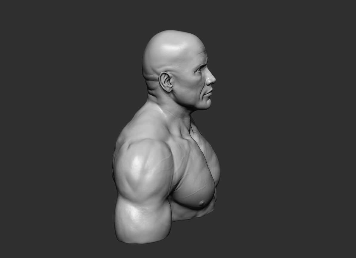 The Rock Portrait Sculpture 3D print model_12