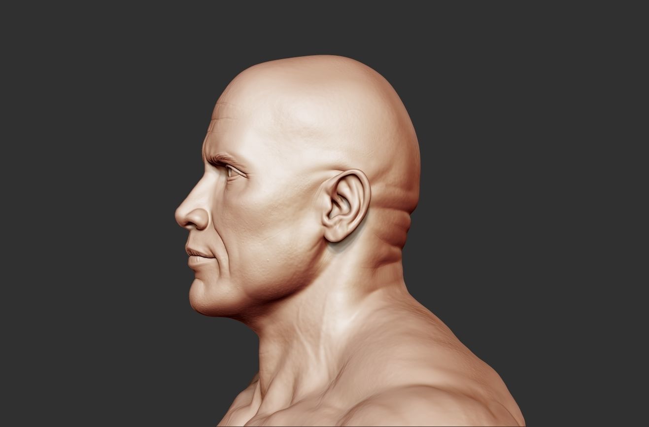 The Rock Portrait Sculpture 3D print model_6