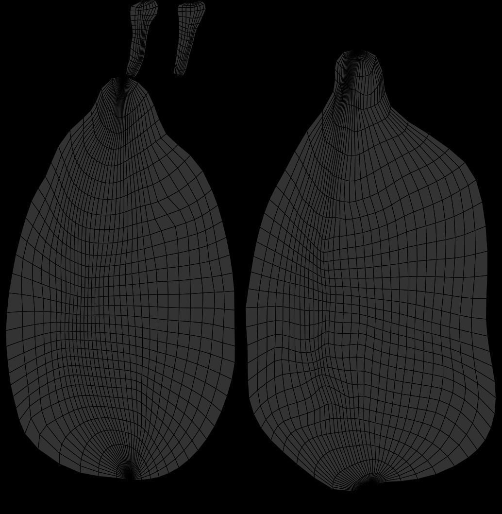 Ackee seed of palm tree Low-poly 3D model_7