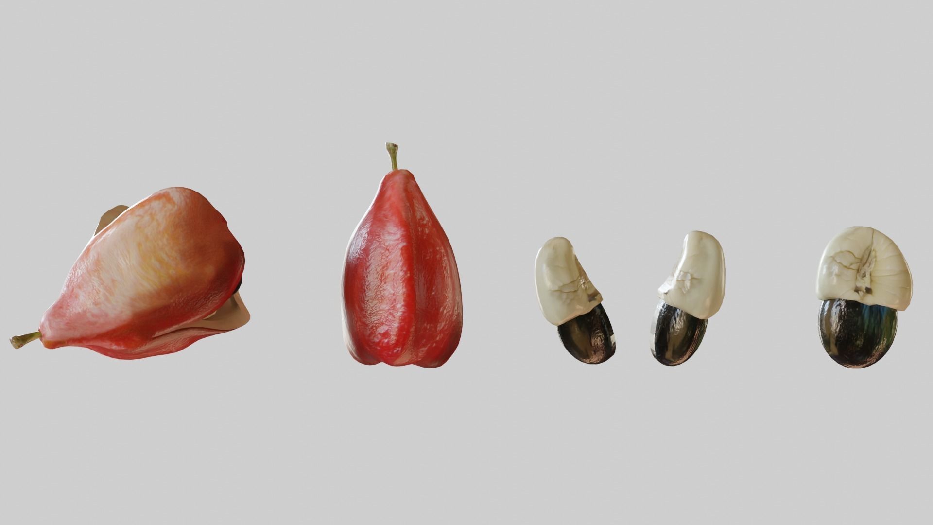 Ackee seed of palm tree Low-poly 3D model_3