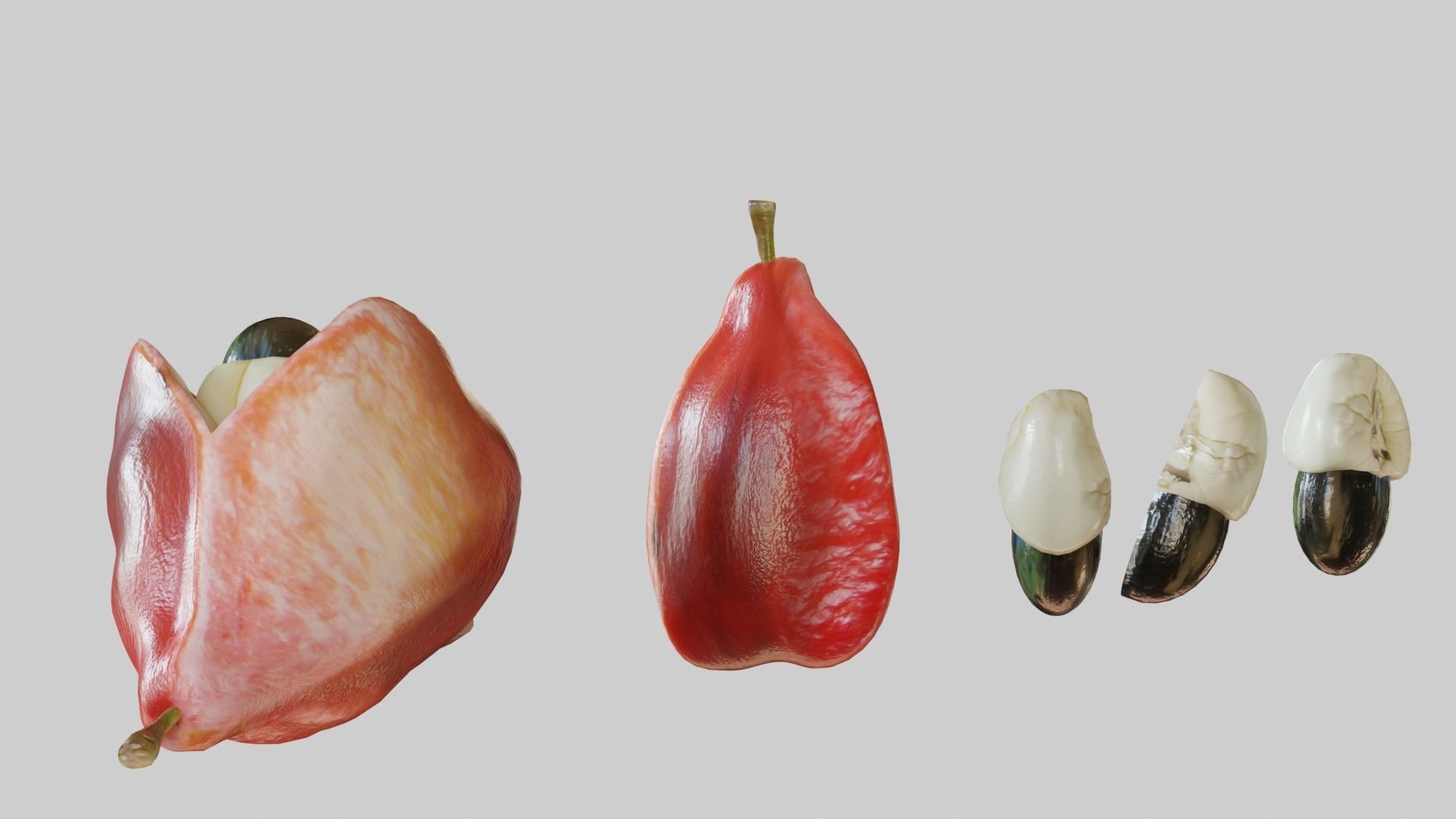 Ackee seed of palm tree Low-poly 3D model_5