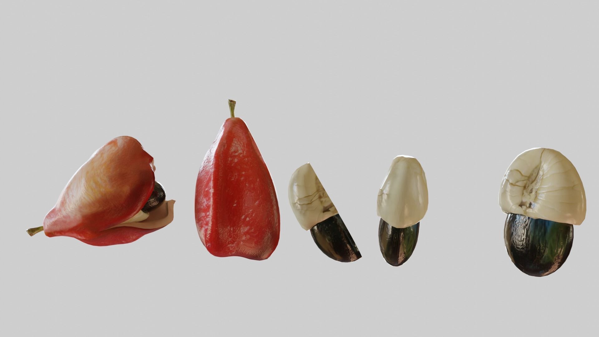 Ackee seed of palm tree Low-poly 3D model_6