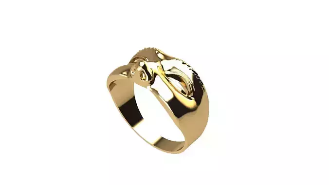 face ring  3D print model