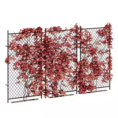 ivy wall five 3D model