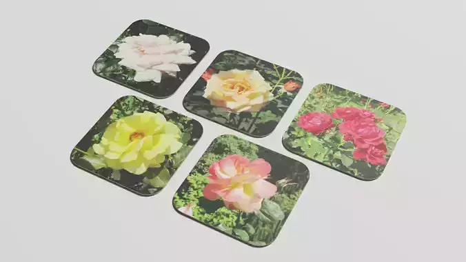 Coasters set - flowers 