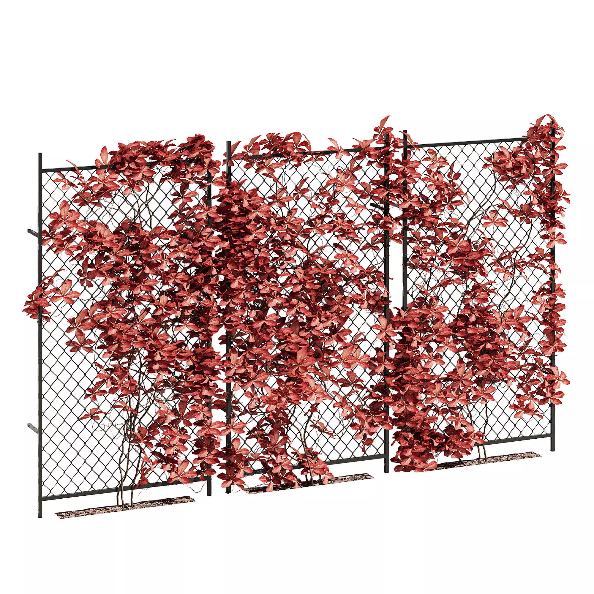ivy wall five 3D model