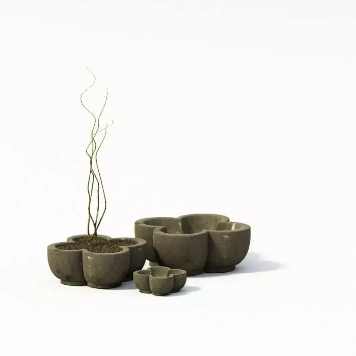 Planters With A Tree 3D model