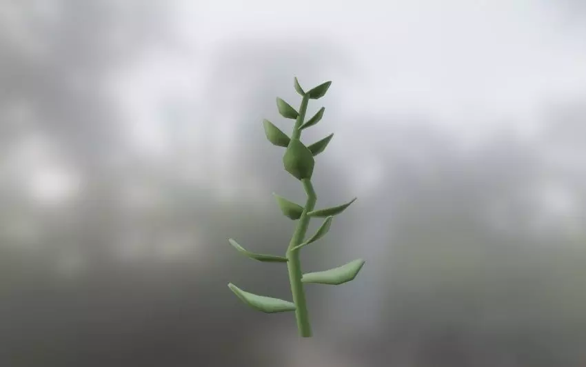 FREE Simple Plant Low-poly 3D model Free low-poly 3D model_0