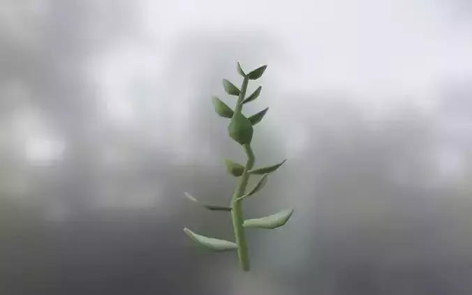 FREE Simple Plant Low-poly 3D model