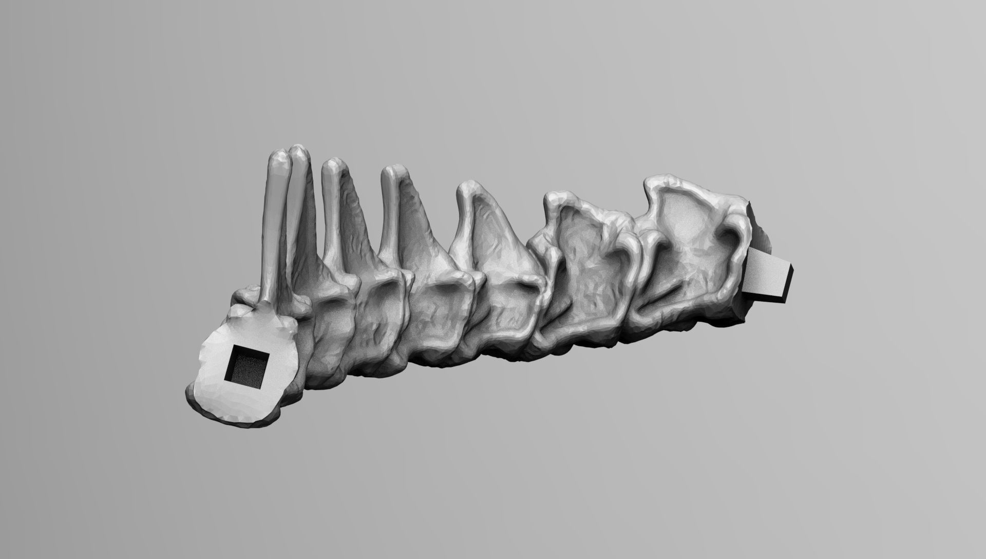 Alien Xenomorph Smoking Joint Tabaco Cigar  3D print model_16