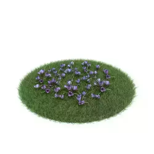 Small Purple Flowers 3D model