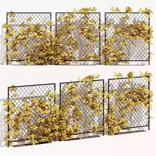 ivy wall six 3D model
