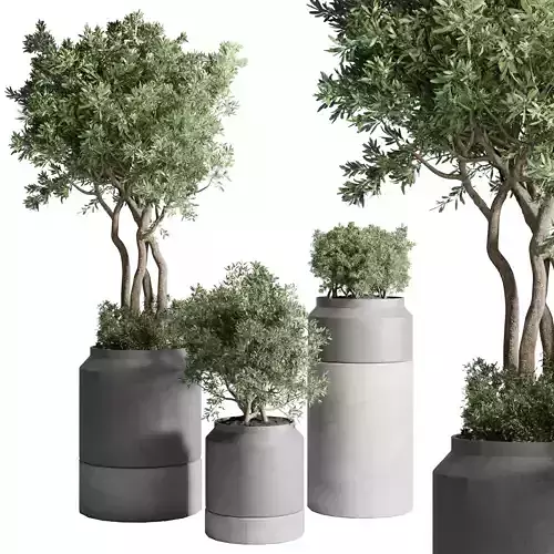Collection Outdoor plant 48 concrete vase pot tree bush