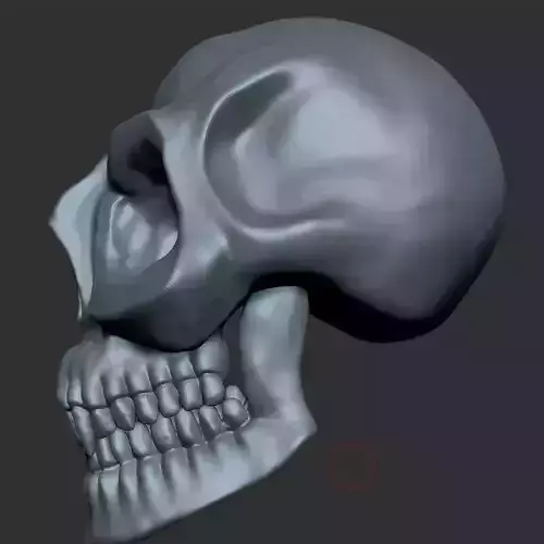 Stylized skull