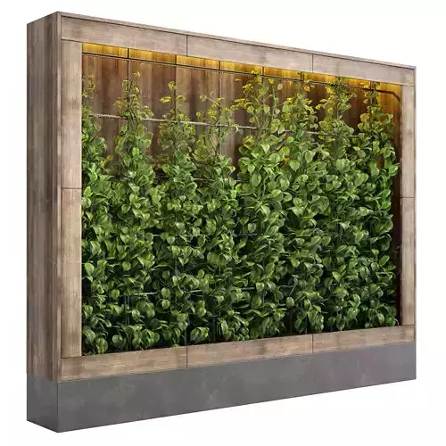 outdoor indoor plant  plant ivy vertical garden wood vase