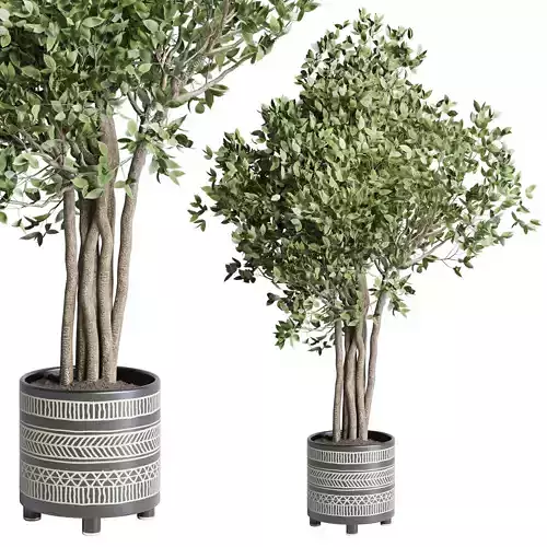 collection Indoor plant 100 vase handmade pottery tree