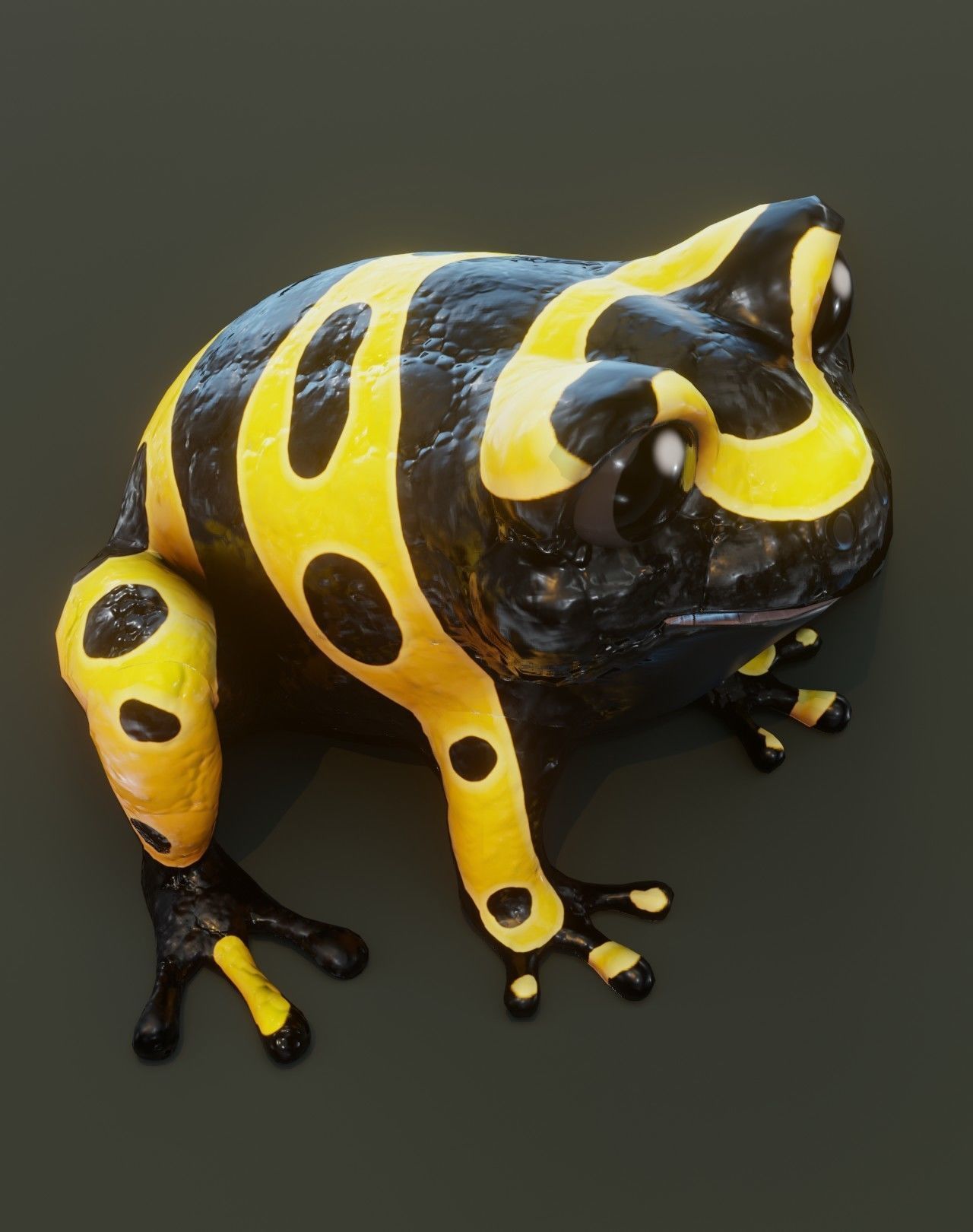 Cartoon Yellow-banded Frog Animated 3D Model Low-poly 3D model_2