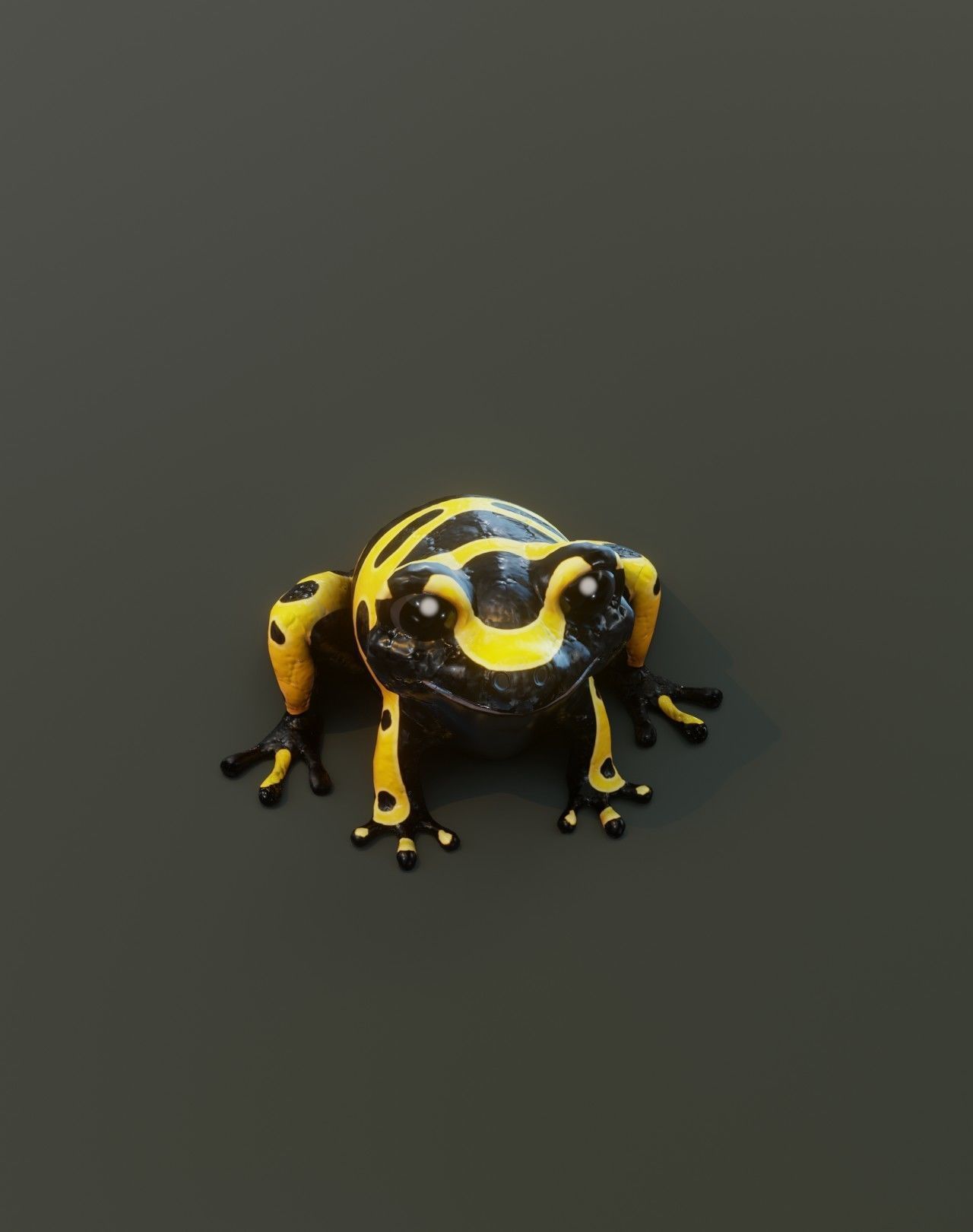 Cartoon Yellow-banded Frog Animated 3D Model Low-poly 3D model_10