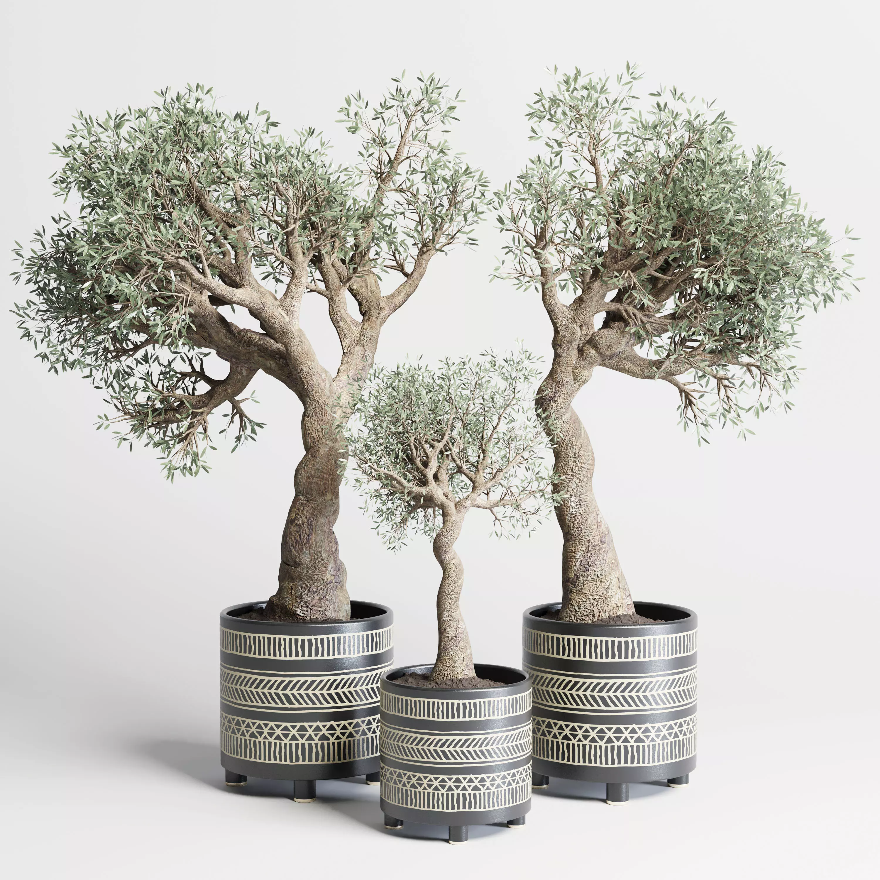 Indoor plant vase handmade pottery family tree old olive 3D model