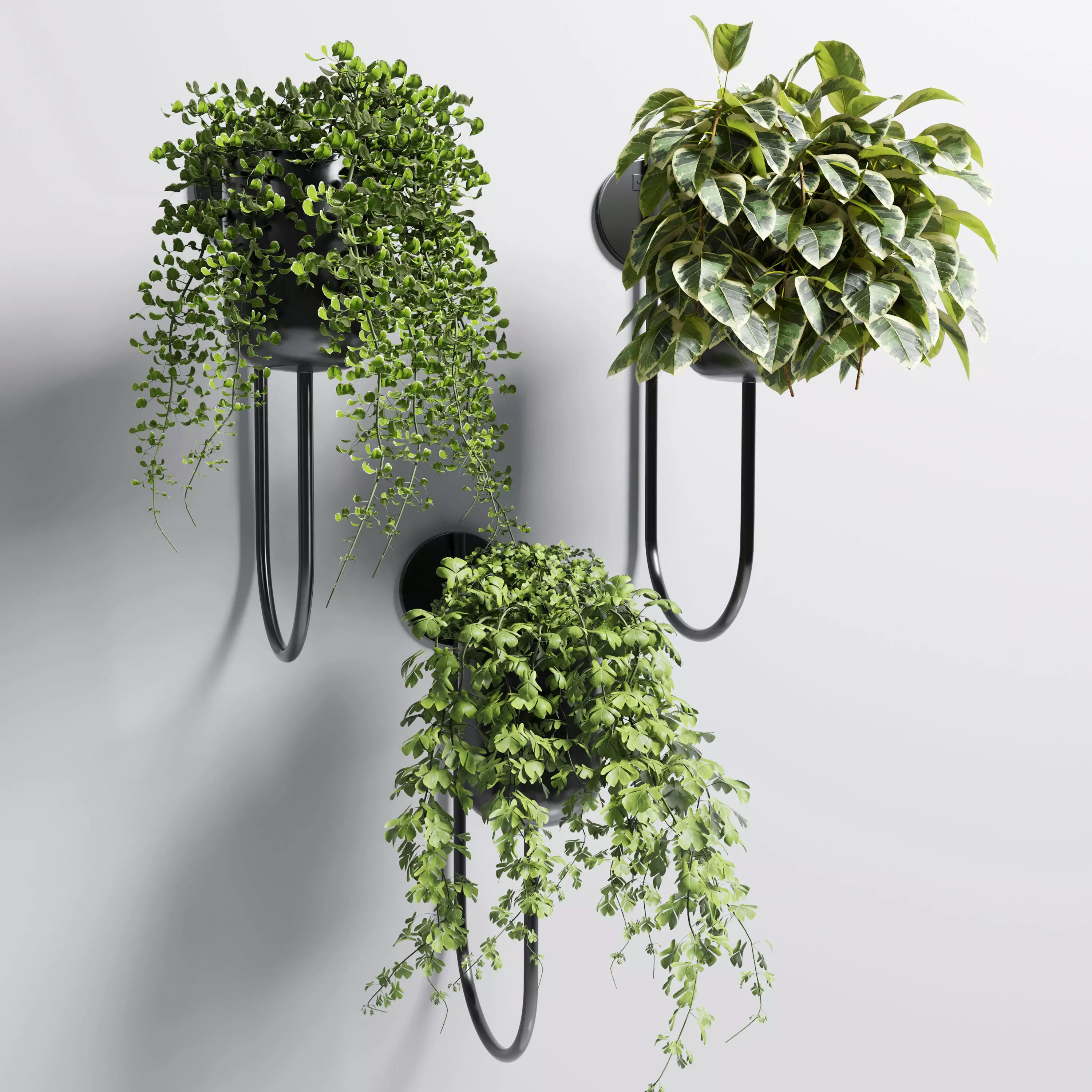 collection Indoor plant 101 vase metal stand wall plant 3D model_0