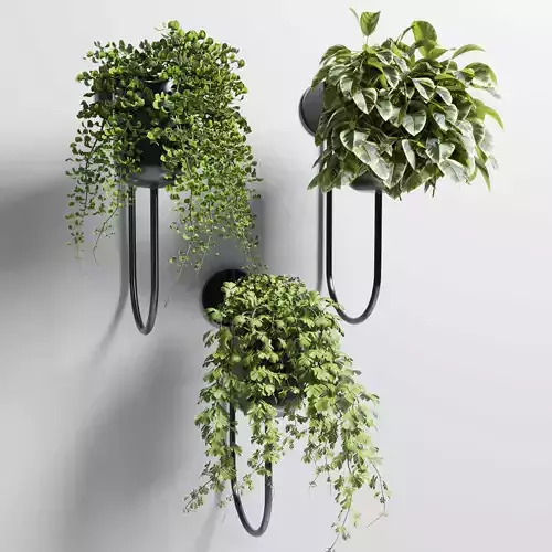 collection Indoor plant 101 vase metal stand wall plant 3D model