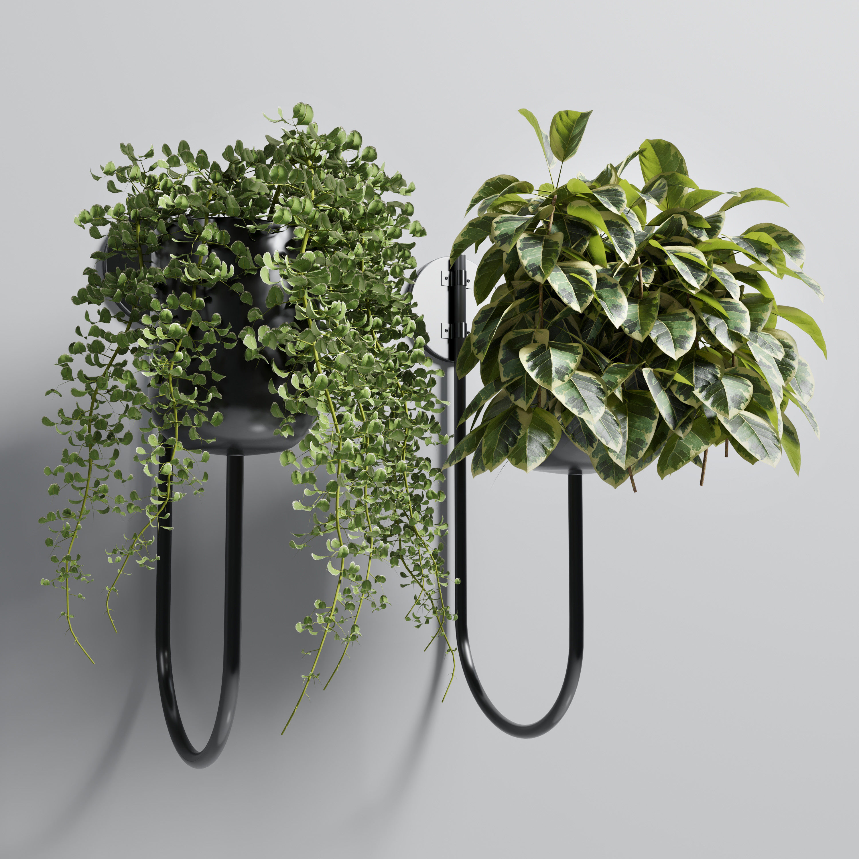 collection Indoor plant 101 vase metal stand wall plant 3D model_1