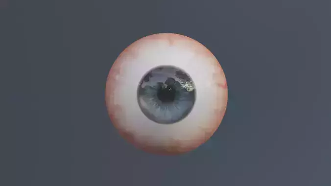 Semi-Realistic Eyes human eye Low-poly 3D model
