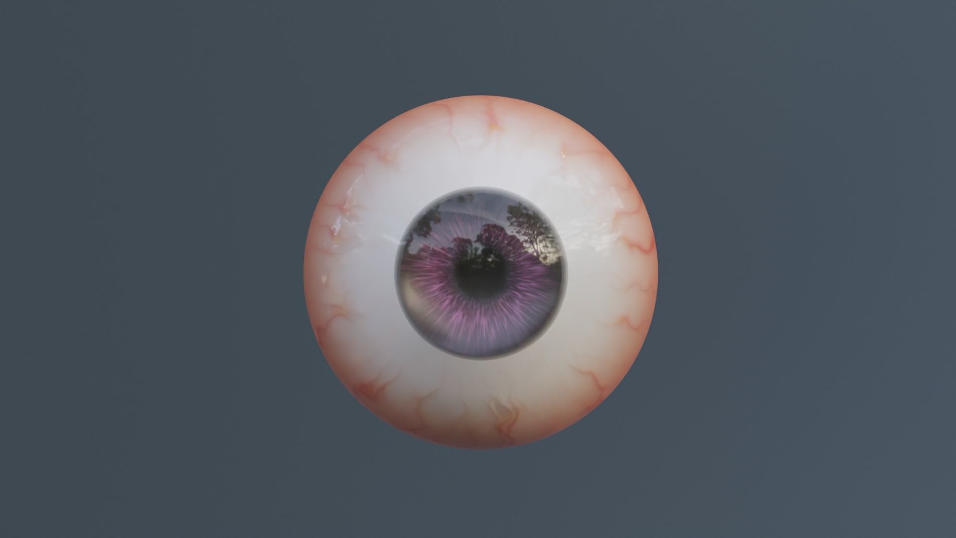 Semi-Realistic Eyes human eye Low-poly 3D model_13