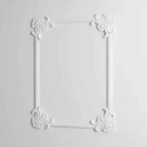 White Ornamental Shell Frame