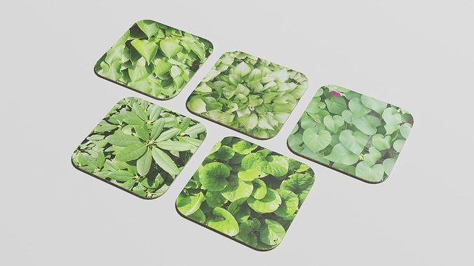 Coasters set - leafs