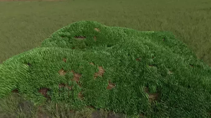 Grass hill in middle of rice field Free 3D model