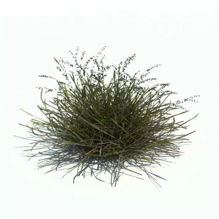 Green Bush 3D model_0
