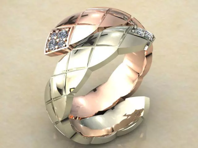 Fashion Ring 3D print model_0
