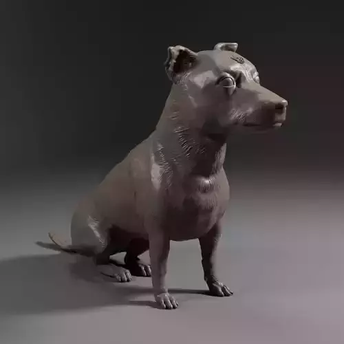 Terrier Dachshund SRD - Dog Pet 02