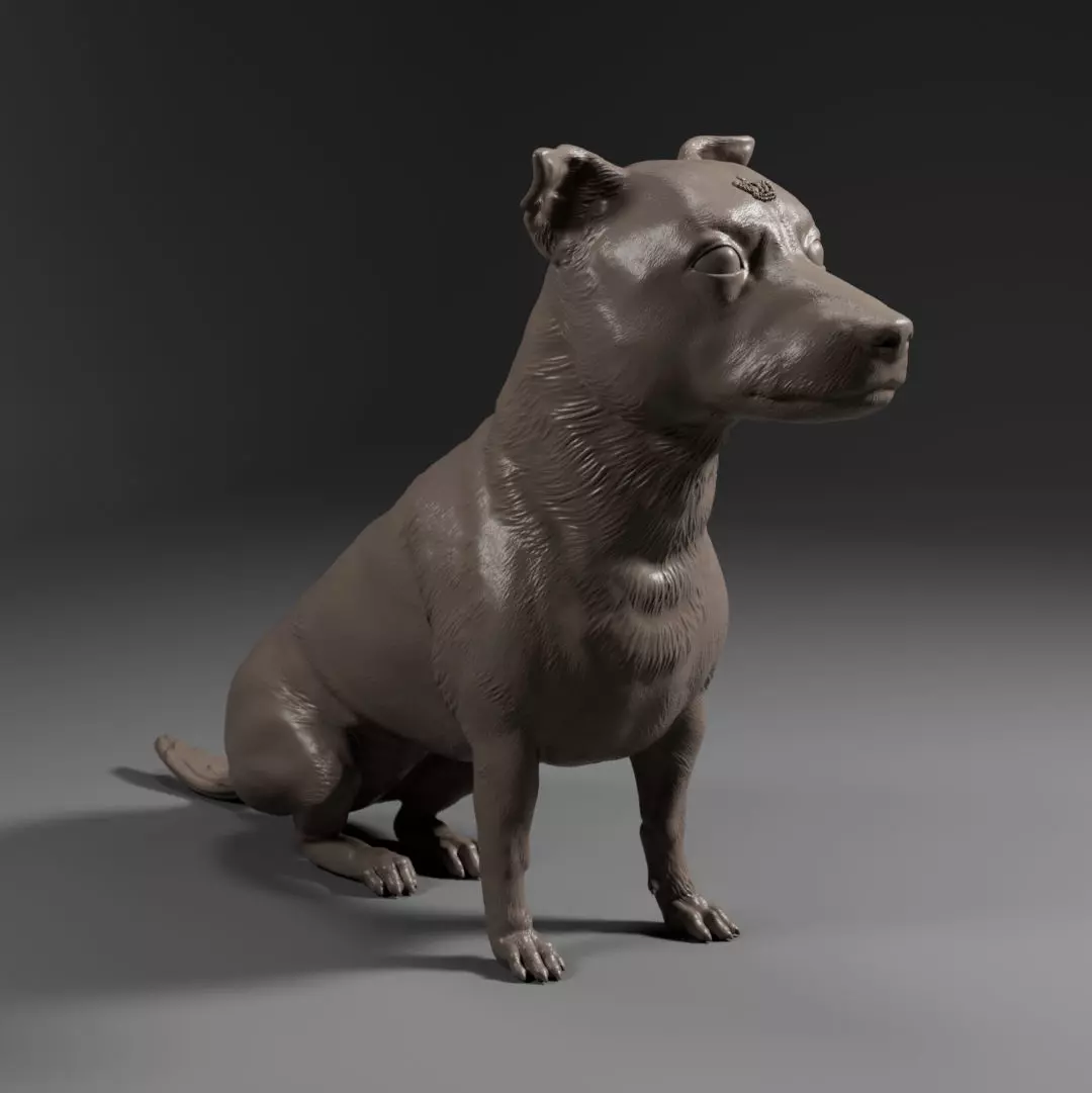 Terrier Dachshund SRD - Dog Pet 02 3D print model_0